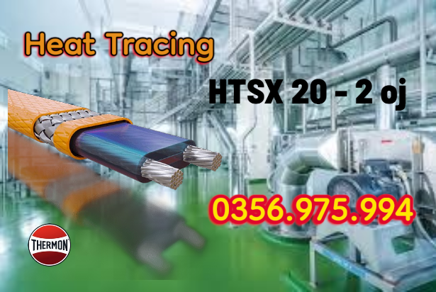 HTSX 20-2