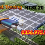 HTSX 20-2