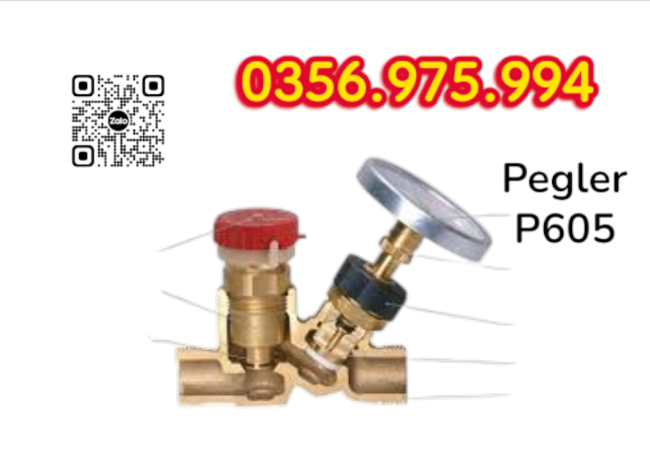 Van Cân Bằng Nhiệt Áp P605 Pegler