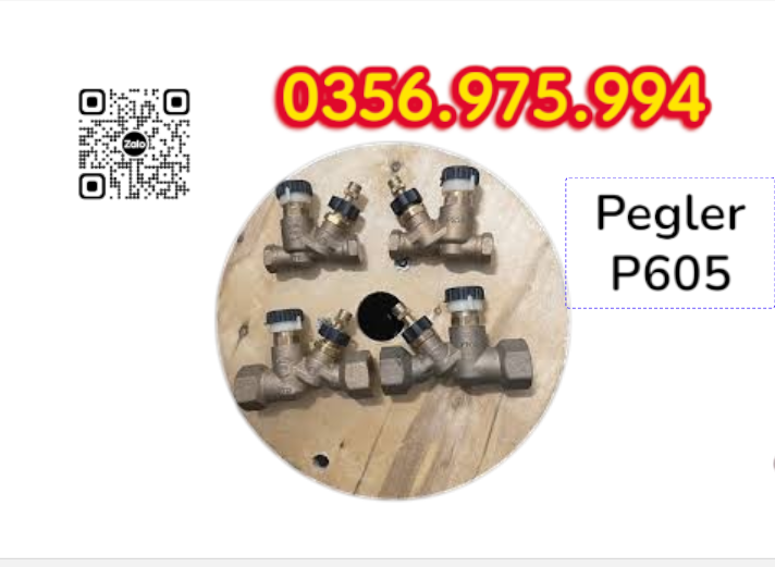 Van Cân Bằng Nhiệt Áp P605 Pegler