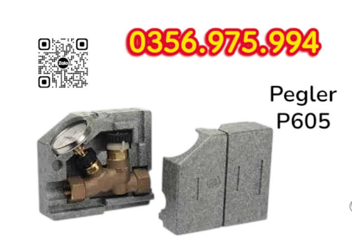 Van Cân Bằng Nhiệt Áp P605 Pegler