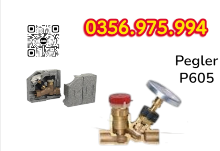 Van Cân Bằng Nhiệt Áp P605 Pegler