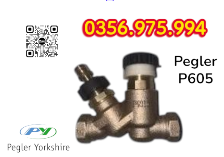 Van Cân Bằng Nhiệt Áp P605 Pegler