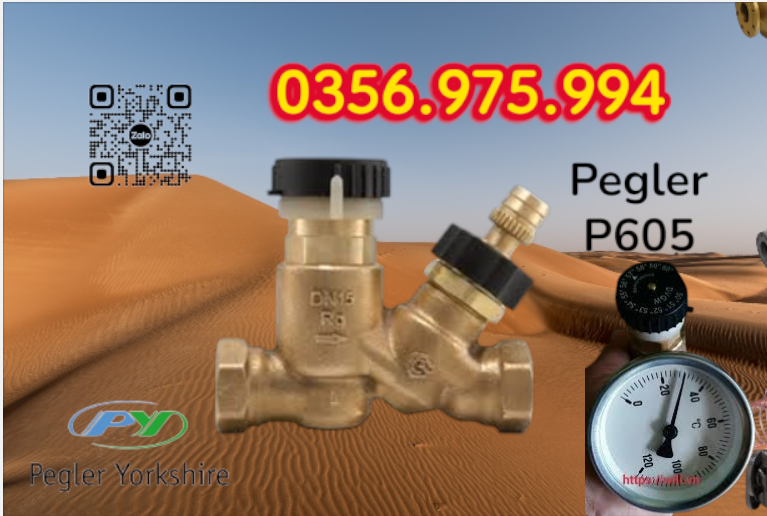 Van Cân Bằng Nhiệt Áp P605 Pegler
