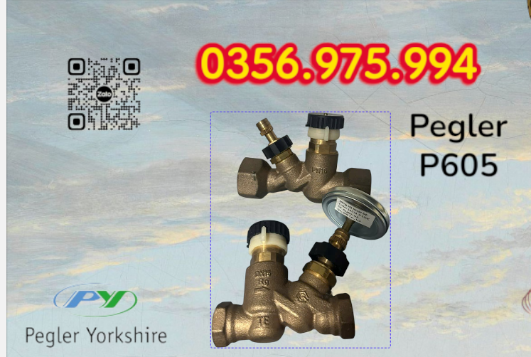 Van Cân Bằng Nhiệt Áp P605 Pegler