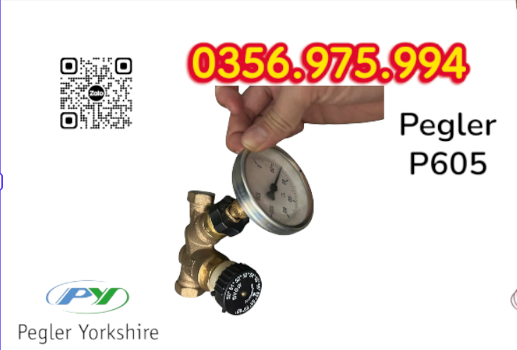 Van Cân Bằng Nhiệt Áp P605 Pegler