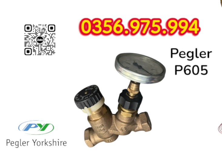 Van Cân Bằng Nhiệt Áp P605 Pegler