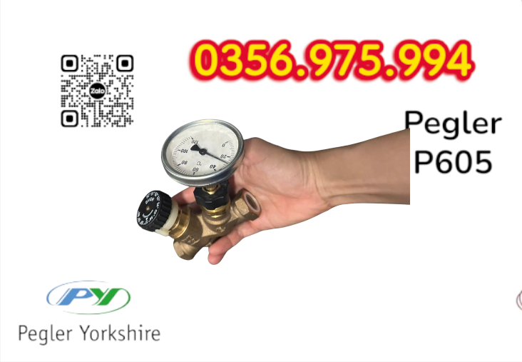 Van Cân Bằng Nhiệt Áp P605 Pegler