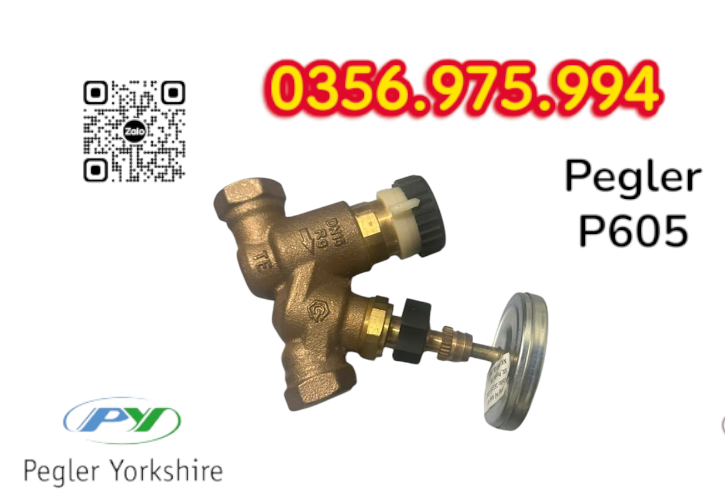 Van Cân Bằng Nhiệt Áp P605 Pegler