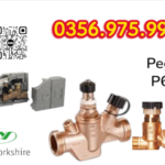 VAN CÂN BẰNG NHIỆT PEGLER P605