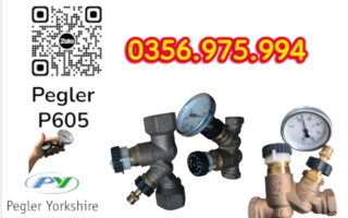 Van Can bang nhiet pegler P605 , van p605 pegler